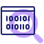 Data Format
